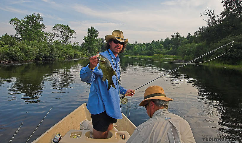 My friend Brad Bohen holds up a nice fly-caught smallmouth. From the Namekagon River in Wisconsin.