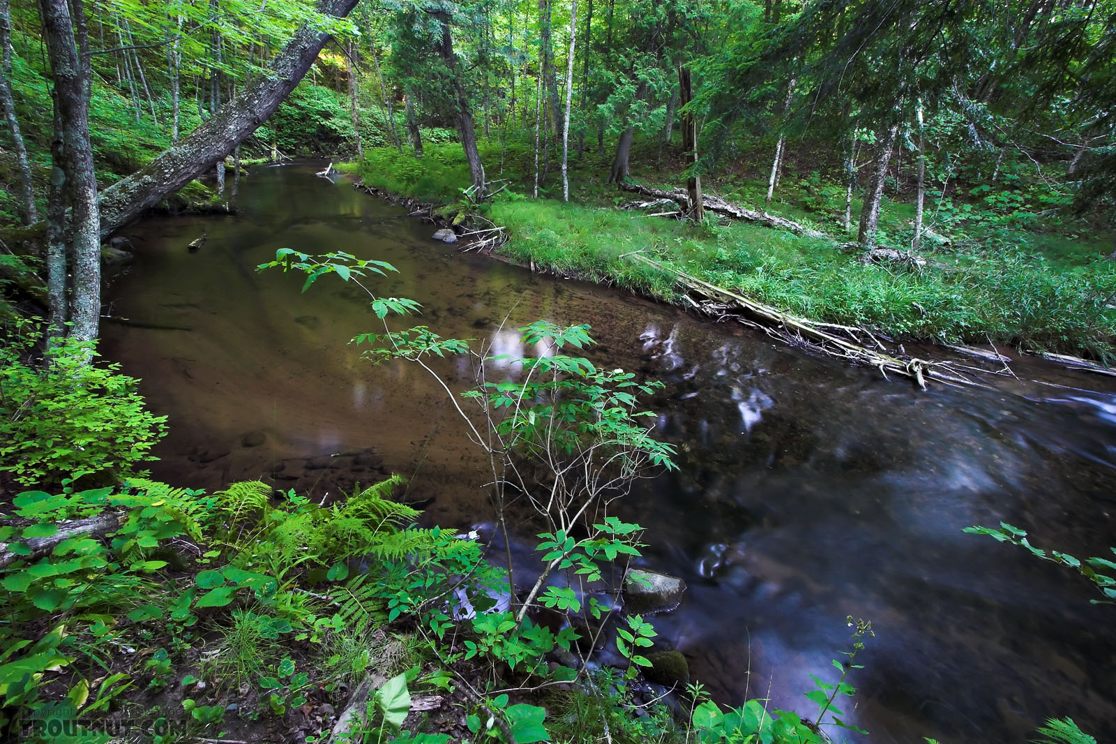 This is one of my favorite small-stream pools. From the Long Lake Branch of the White River in Wisconsin.