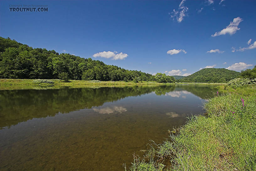  From the Delaware River, Junction Pool in New York.