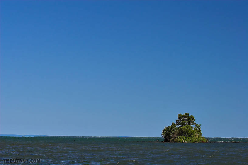 A little island holds its ground against the vastness of Lake Superior. From Lake Superior in Wisconsin.
