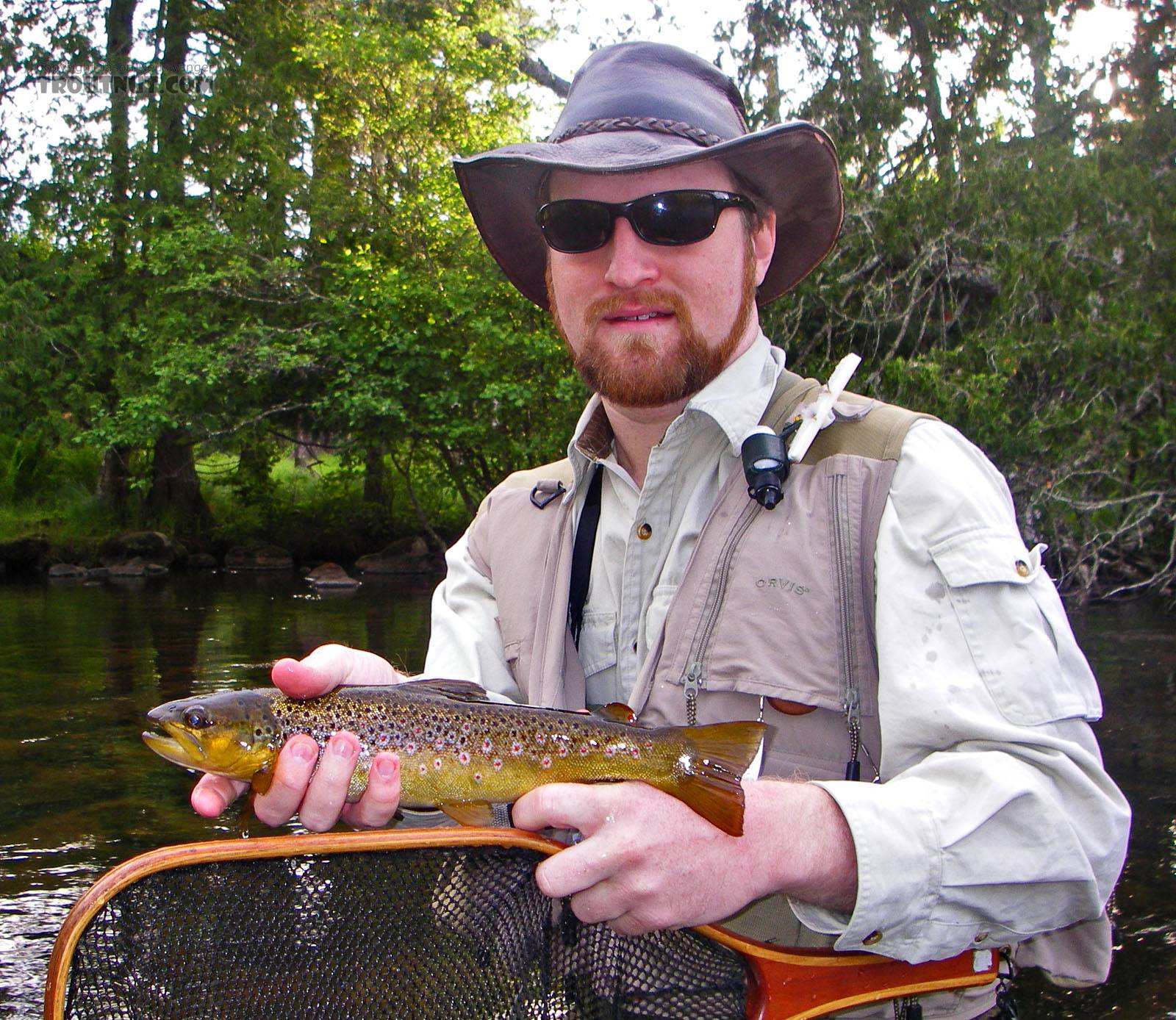 This fun little brown trout was one of many caught during an evening of excellent caddisfly activity. From the Bois Brule River in Wisconsin.