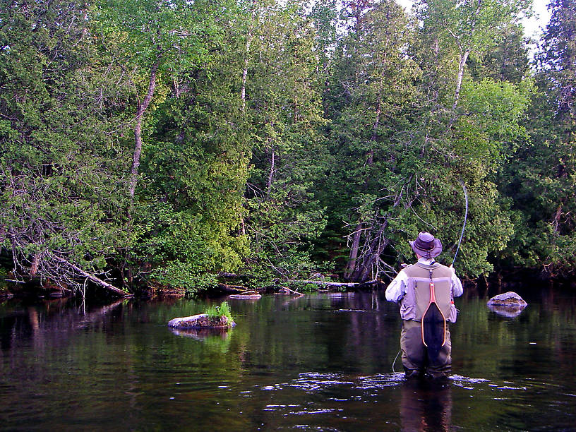 I strike at a hit in an inviting piece of dry fly water. From the Bois Brule River in Wisconsin.