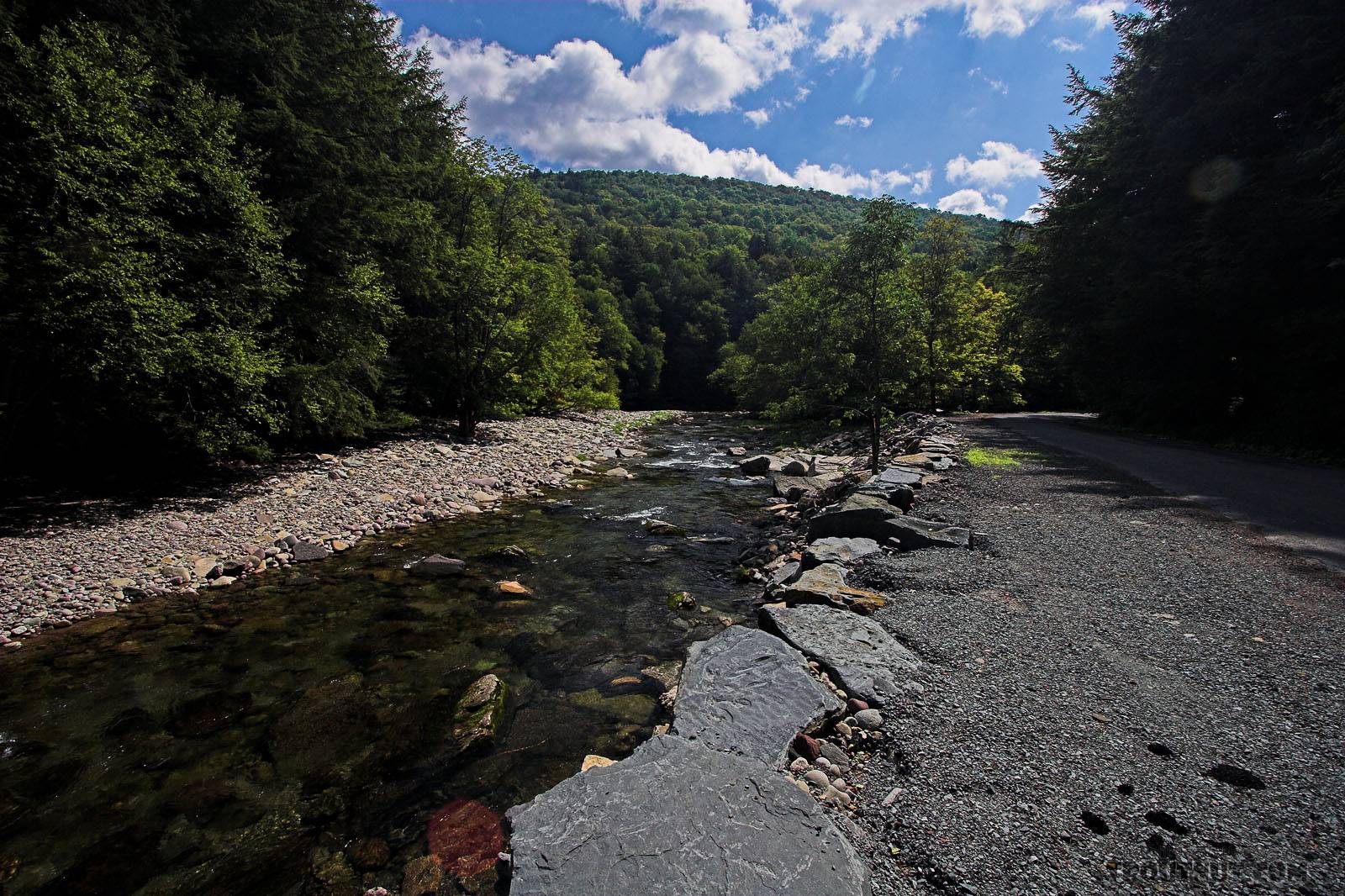  From the West Branch of the Neversink River in New York.