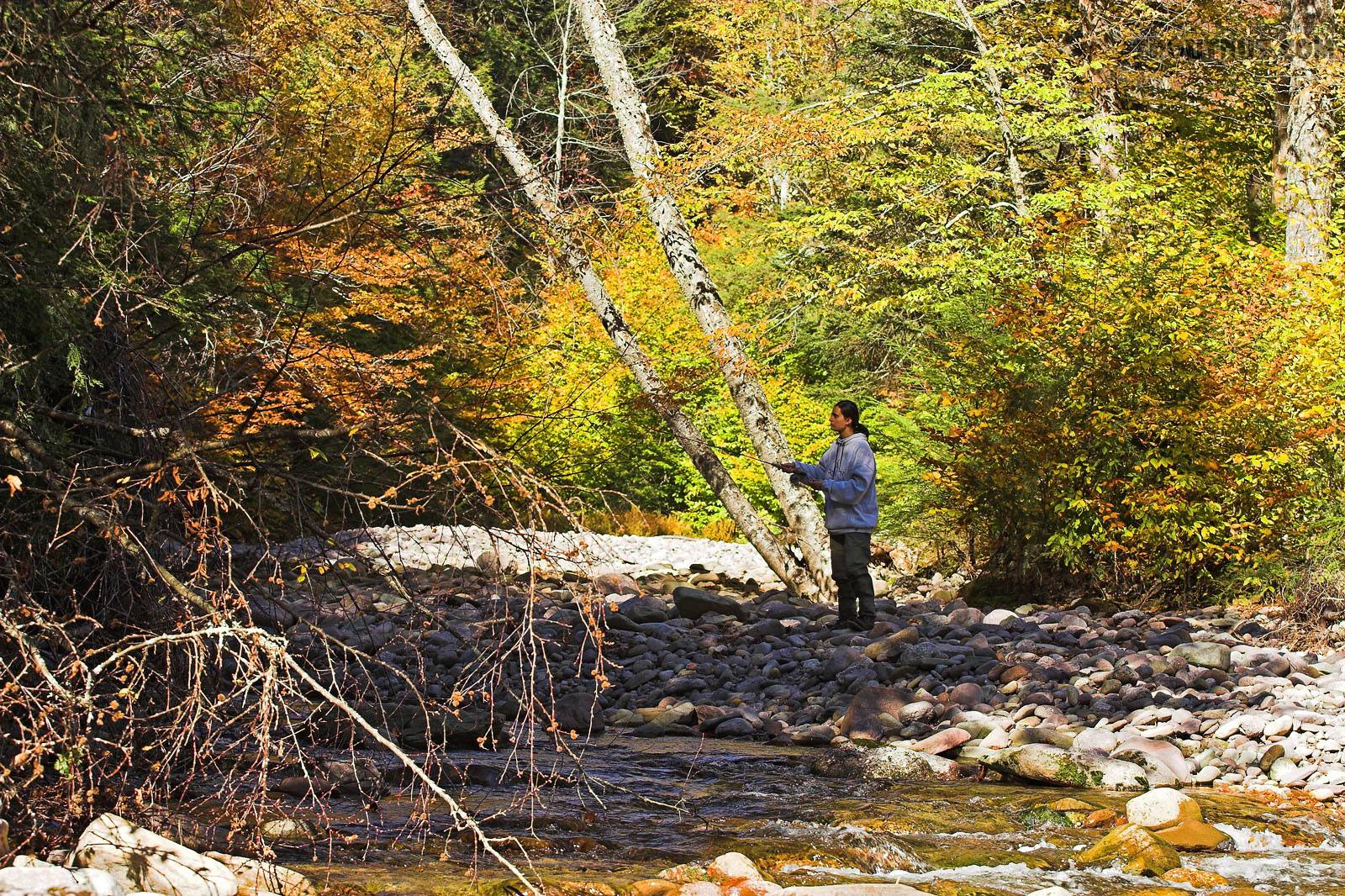 Lena fishing a nice hole. From the Mystery Creek # 23 in New York.