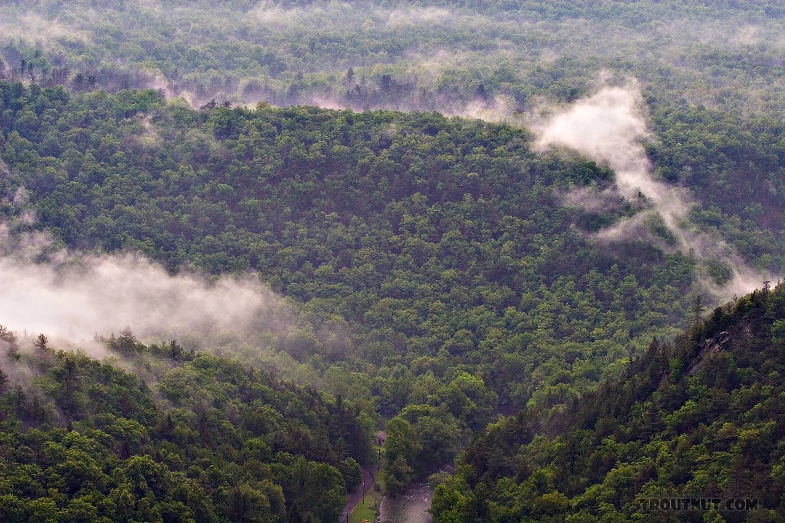 An afternoon thunderstorm left mist in all the valleys along this limestone spring creek in Pennsylvania. From Penn's Creek in Pennsylvania.