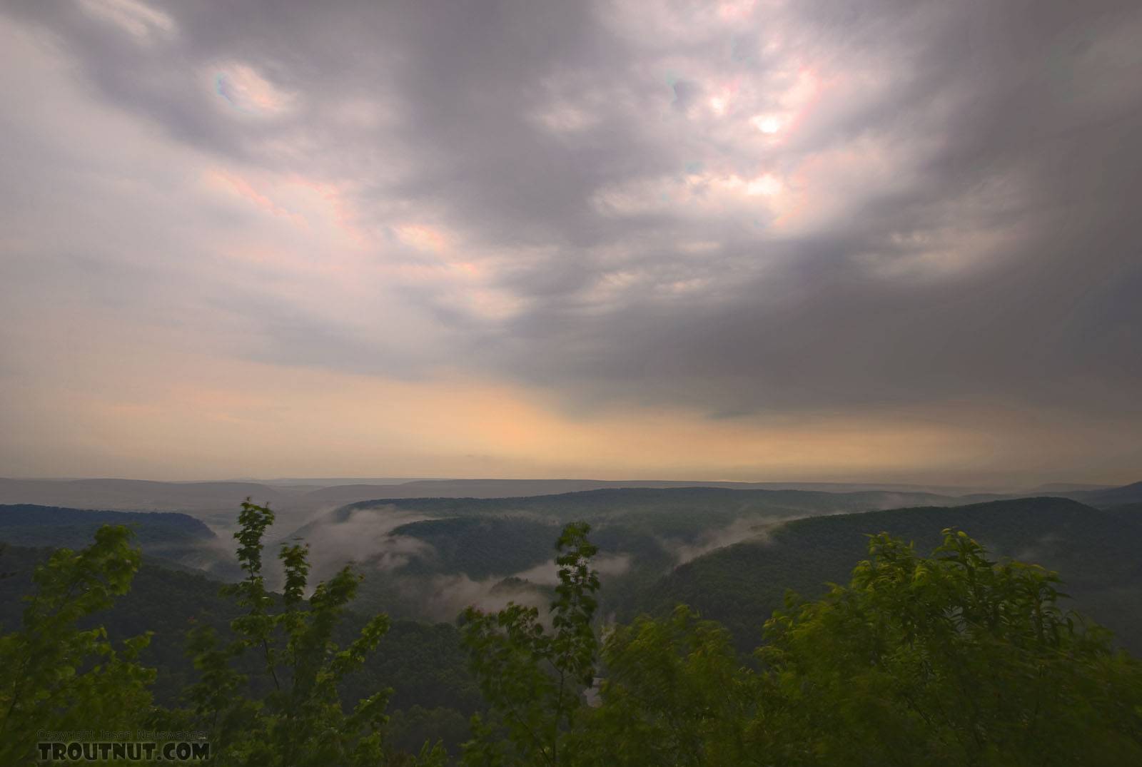 A trout stream valley covered in mist after a spring thunderstorm on a hot, humid day. From Penn's Creek in Pennsylvania.