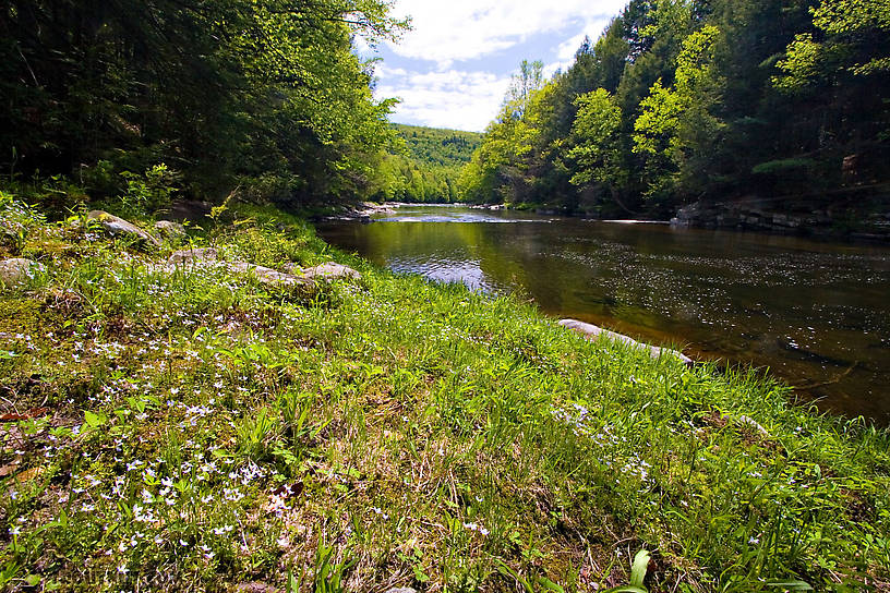  From the Neversink River Gorge in New York.