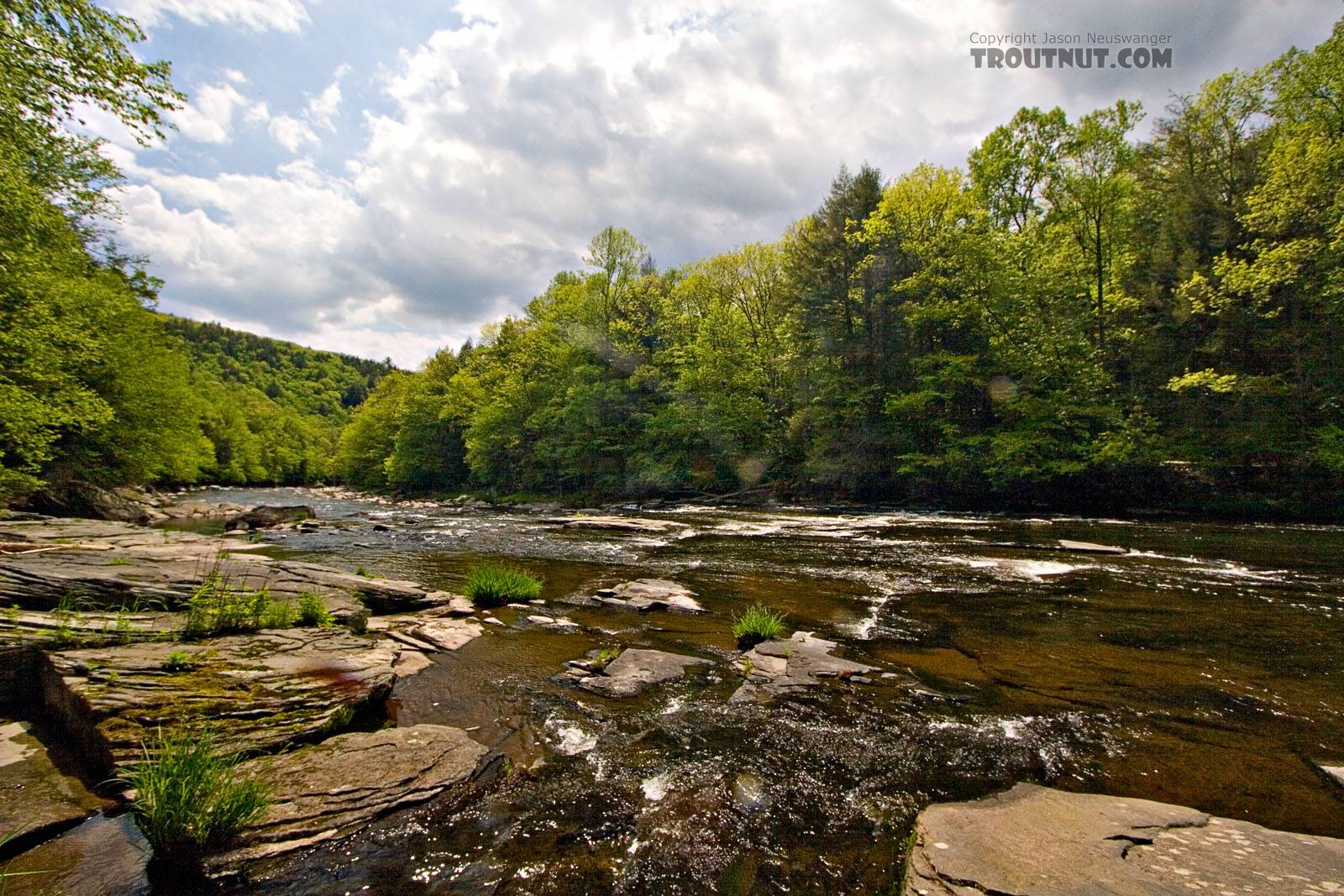  From the Neversink River Gorge in New York.