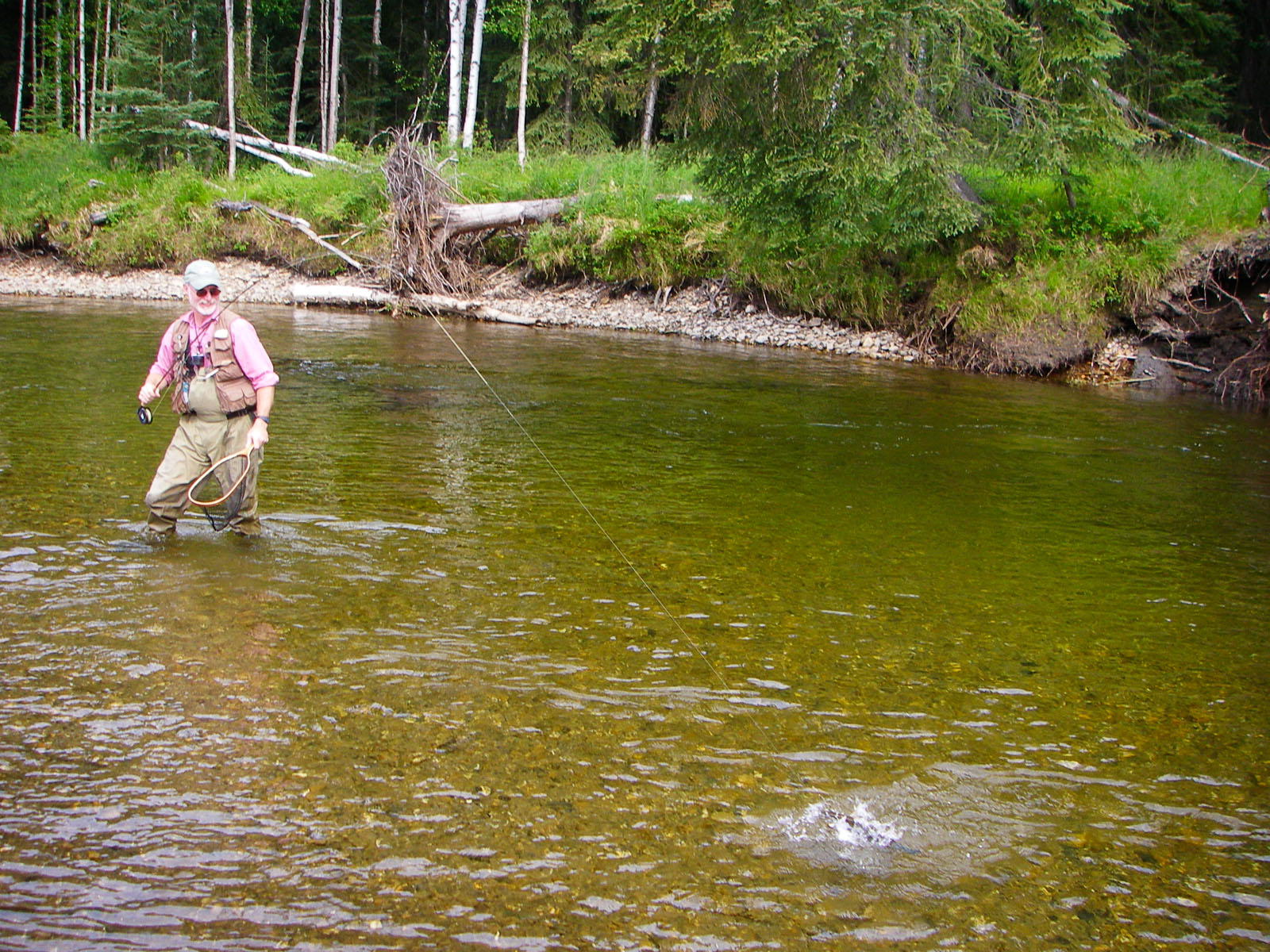 My dad fighting a grayling. From the Chena River in Alaska.
