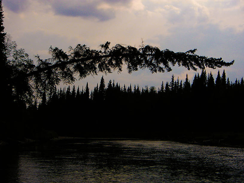  From the Chena River in Alaska.