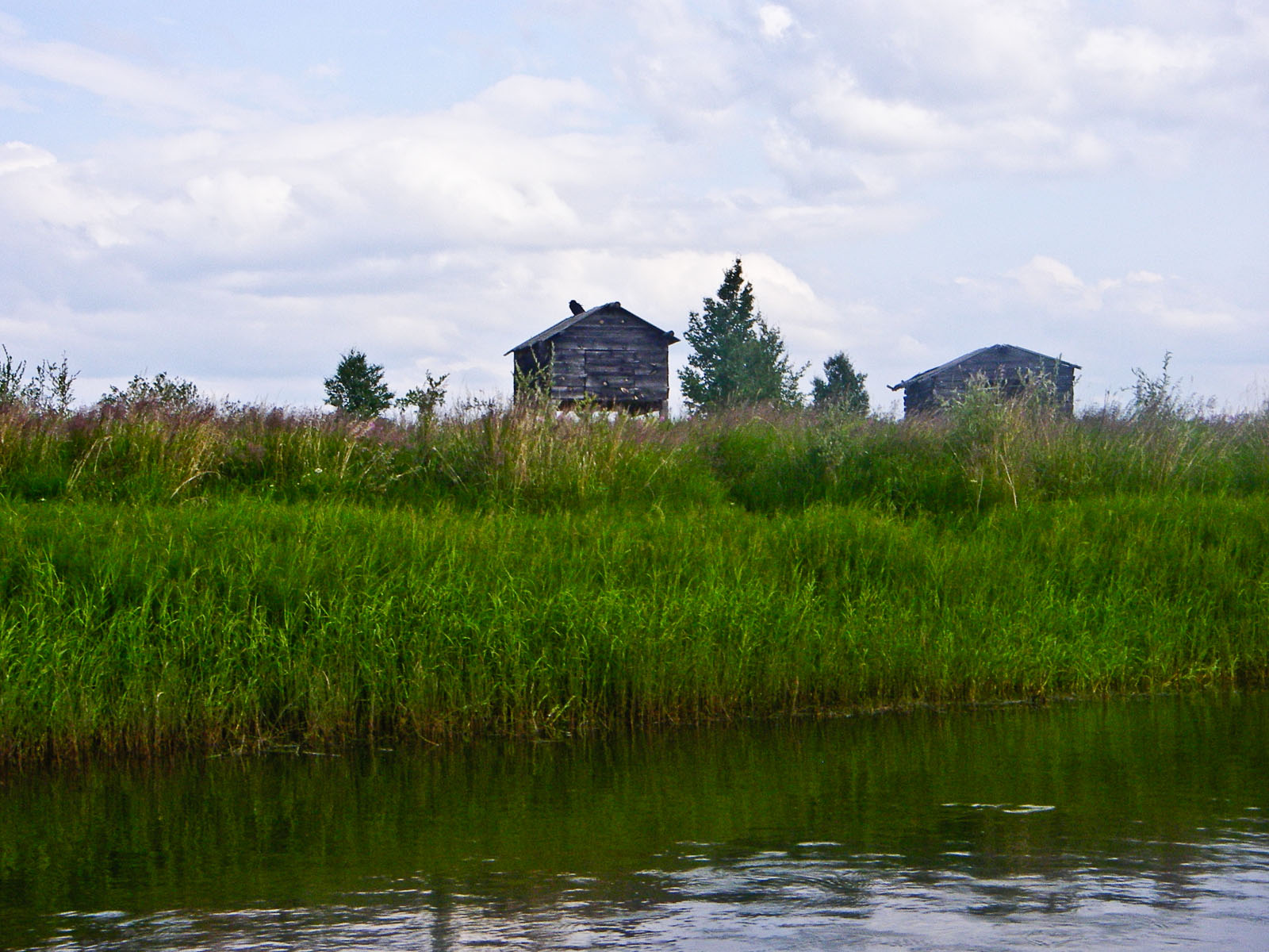 These caches are used by Alaskan natives to store supplies for pike-harvesting season in this network of sloughs and lakes.  That's a raven on top of the left one. From Minto Flats in Alaska.