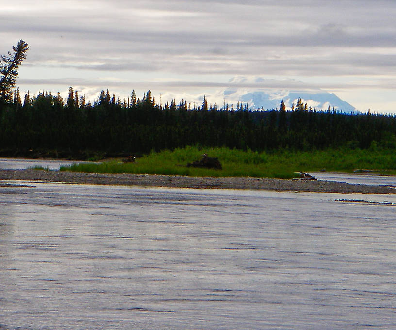 This float trip gave us a couple views of the distant peak of Mount Wrangell, an inactive volcano. From the Gulkana River in Alaska.
