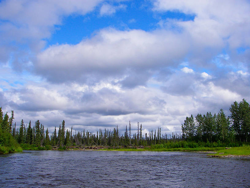  From the Gulkana River in Alaska.