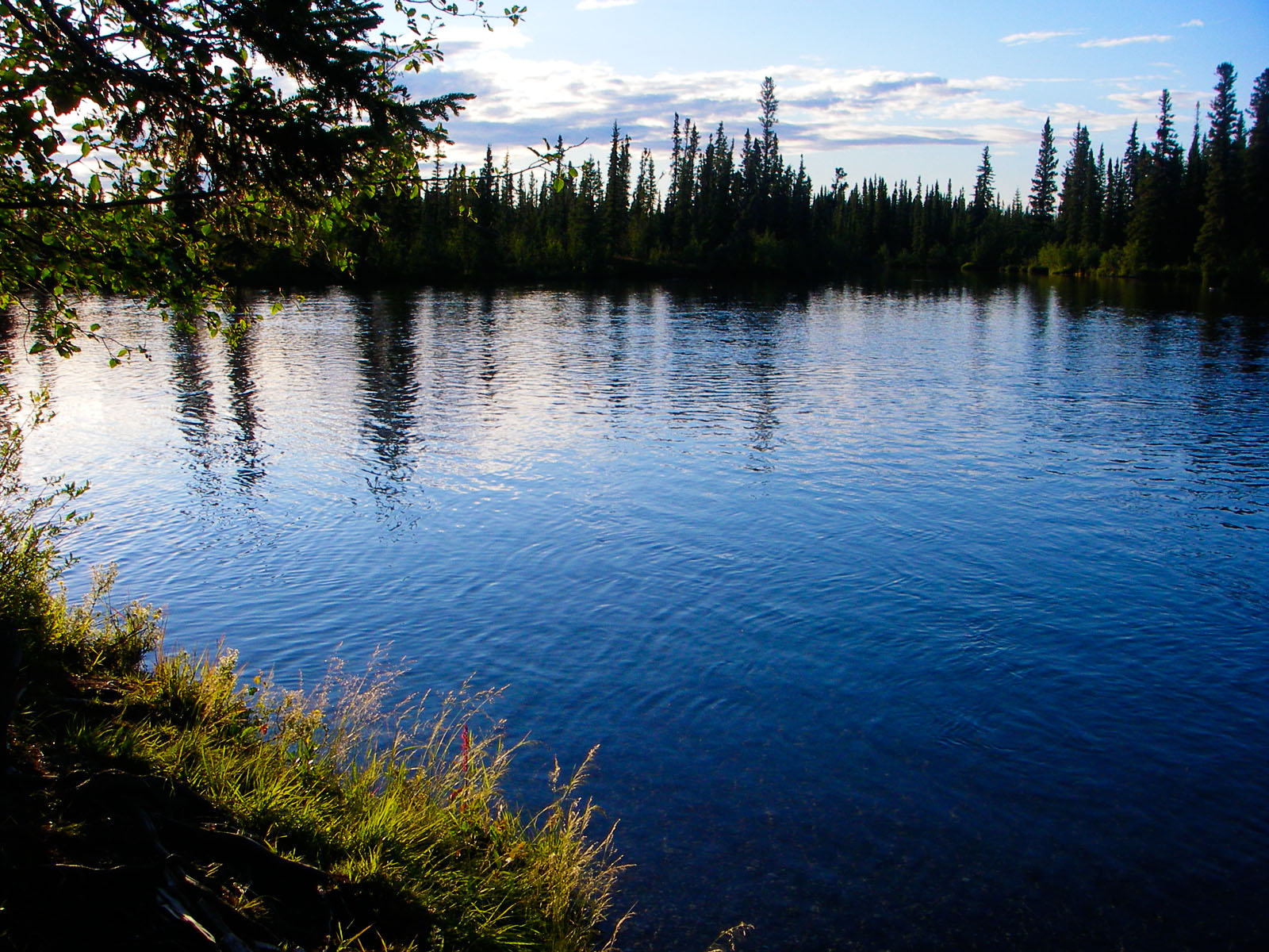 From the Delta Clearwater River in Alaska.
