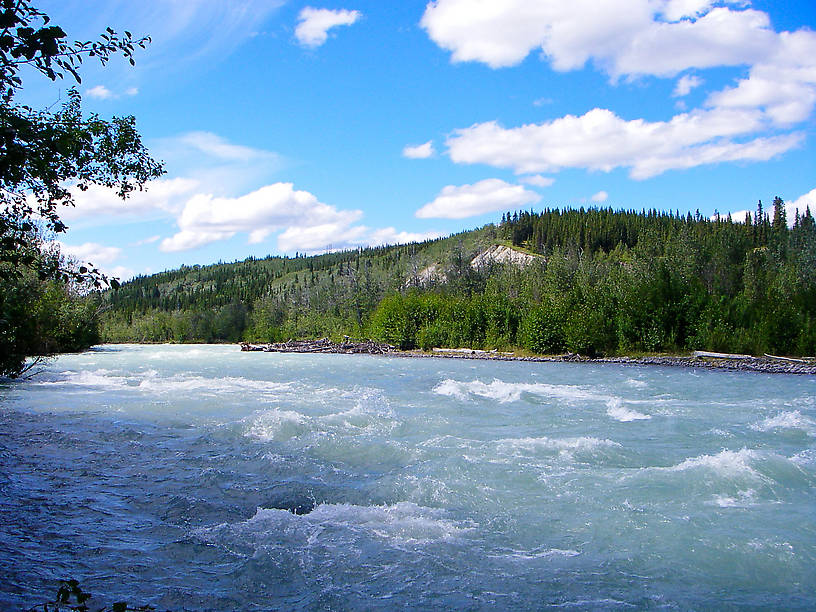  From the Klutina River in Alaska.