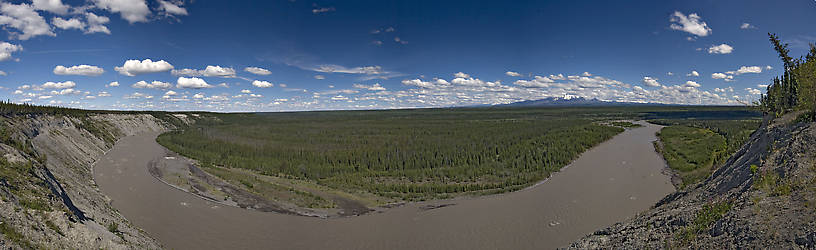 The Copper River is another of Alaska's major glacial drainages, hosting huge salmon runs which spread out more thinly into its clearwater tributaries to spawn.  

This panorama is best viewed full-size. From the Copper River in Alaska.