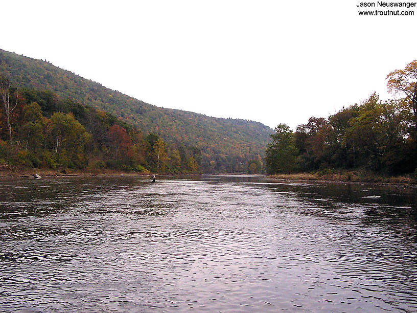  From the West Branch of the Delaware River in New York.