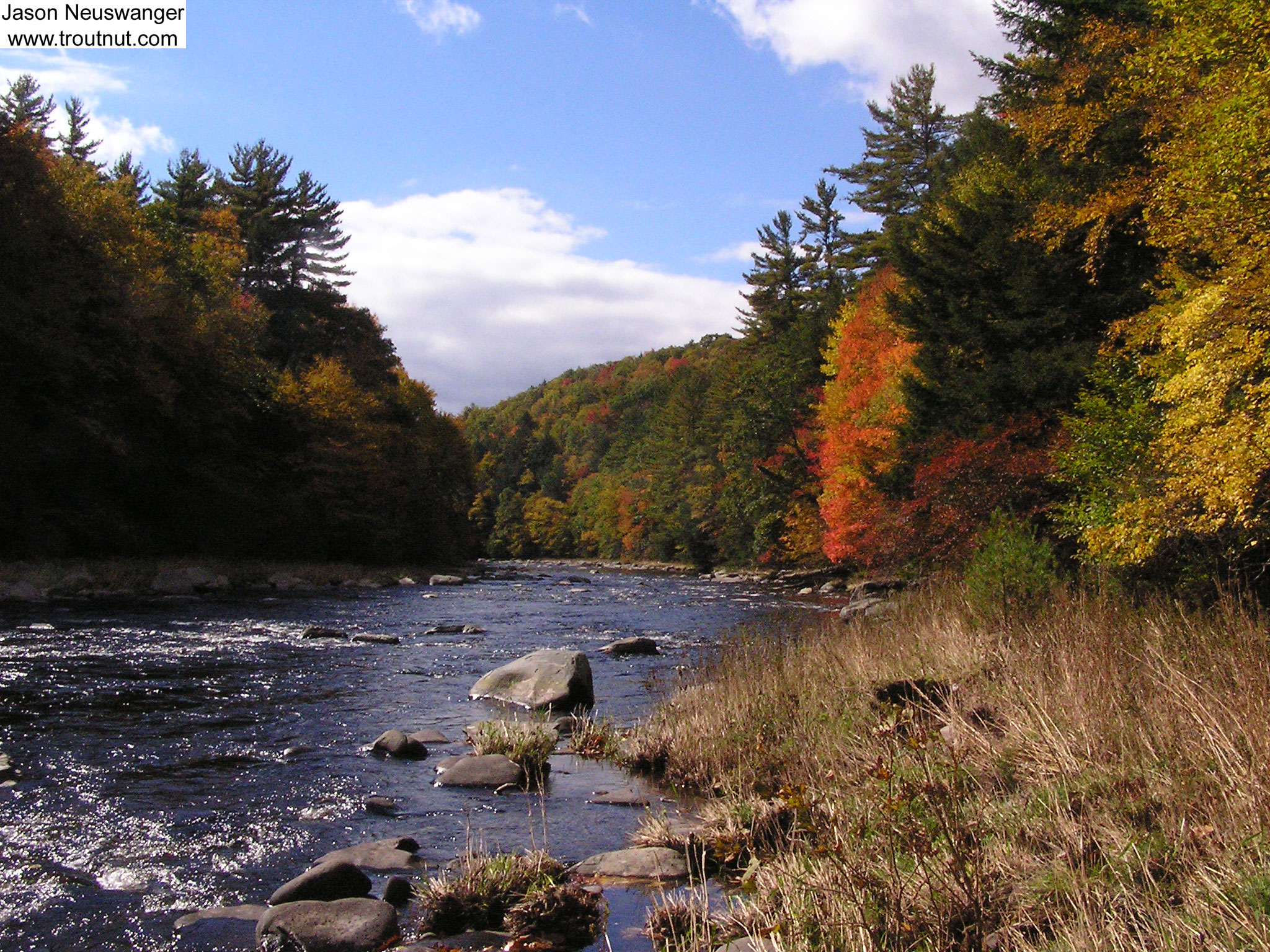 This beautiful, remote stretch of one of the lesser-known large Catskill trout streams produced my only trout in two days of slow fishing, a 9 inch brown. Better than nothing! In fact, even "nothing" in this setting is really something! From the Neversink River Gorge in New York.