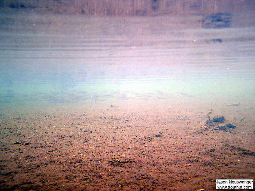 Hundreds of creek chubs and common shiners take the long path around me through the barren shallows of a silty backwater area.  It looks sort of like a Mars landscape, doesn't it? From the Mystery Creek # 19 in Wisconsin.