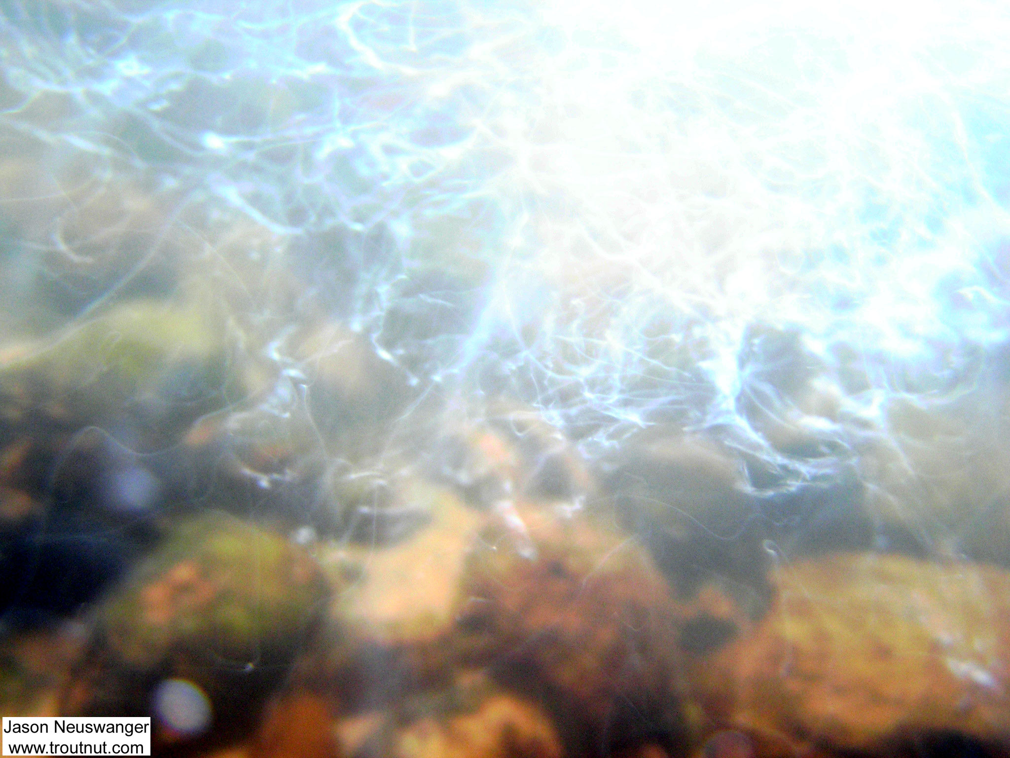 Light reflected from air bubbles left ghostly wisps in this fairly long exposure picture beneath a riffle.  It's got an accidental artistic look. From Eighteenmile Creek in Wisconsin.