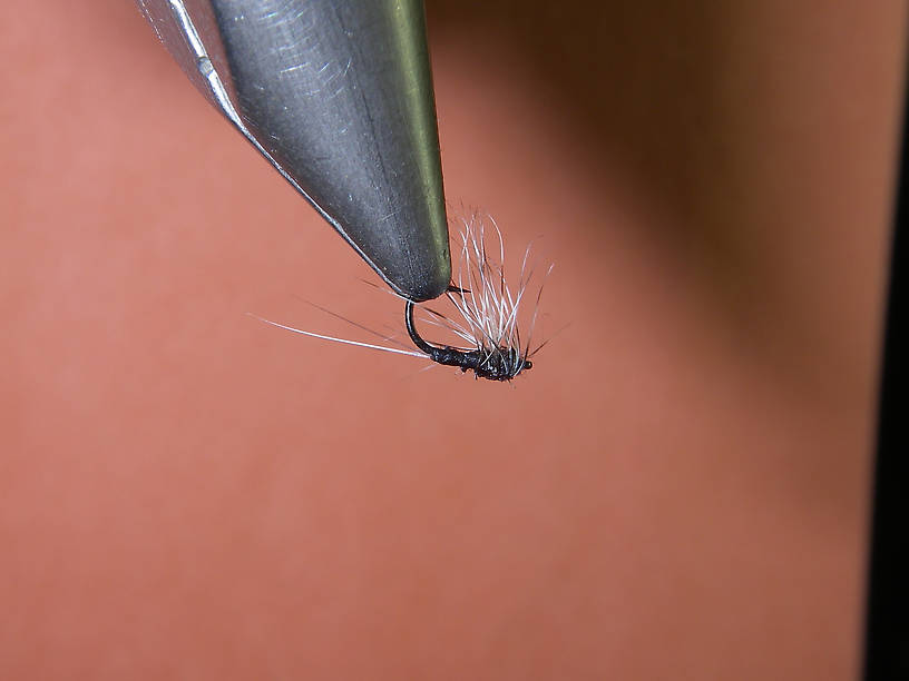 I can't take credit for this one.  Louis tied this, and I stole it from his box.  An upside down "compara-hackle" trico dun/spinner.  I believe this is tied on the Varivas 2300 hook.  I hope that he comments on the materials used.  I stole two of them, and the other is in the jaw of a fat 16" brown. Very delicate and a great fly on really pressured fish.