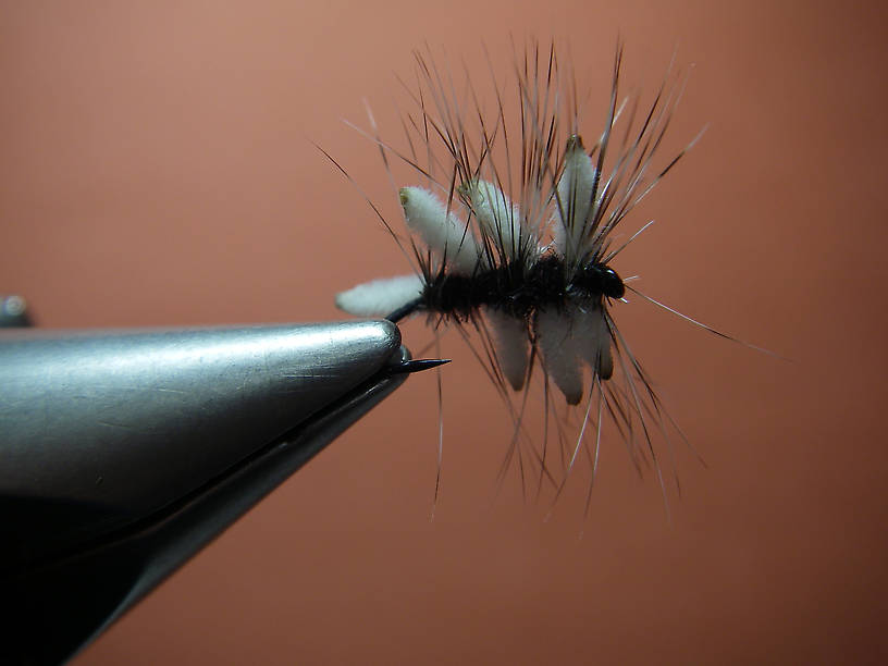 Traffic-Jam Cluster fly.  Tied on a # 16 standard dry fly hook.  White mini "Ultra Chenille" and size 14 Whiting grizzly hackle.