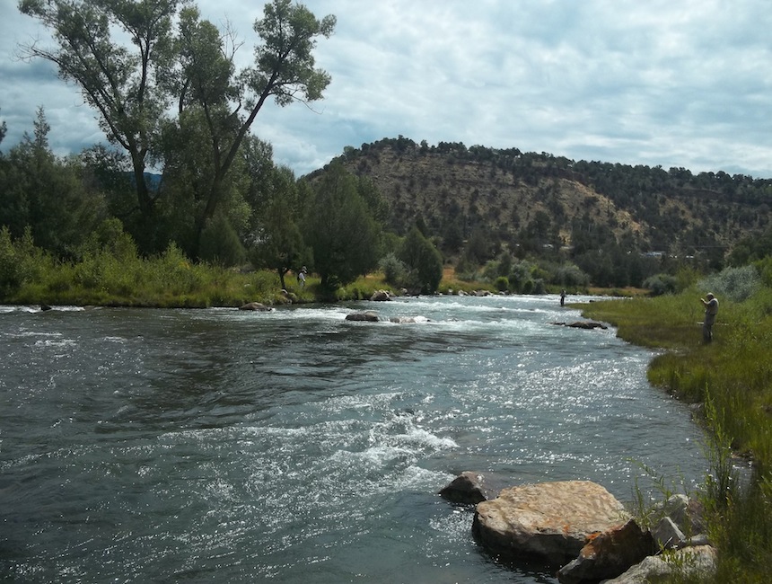 Being a good Colorado tailwater with ample access, the Uncompahgre gets its share of fishing pressure.