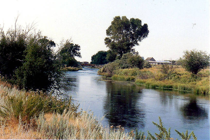 Armstrong Spring Creek (pre 1996 flood)