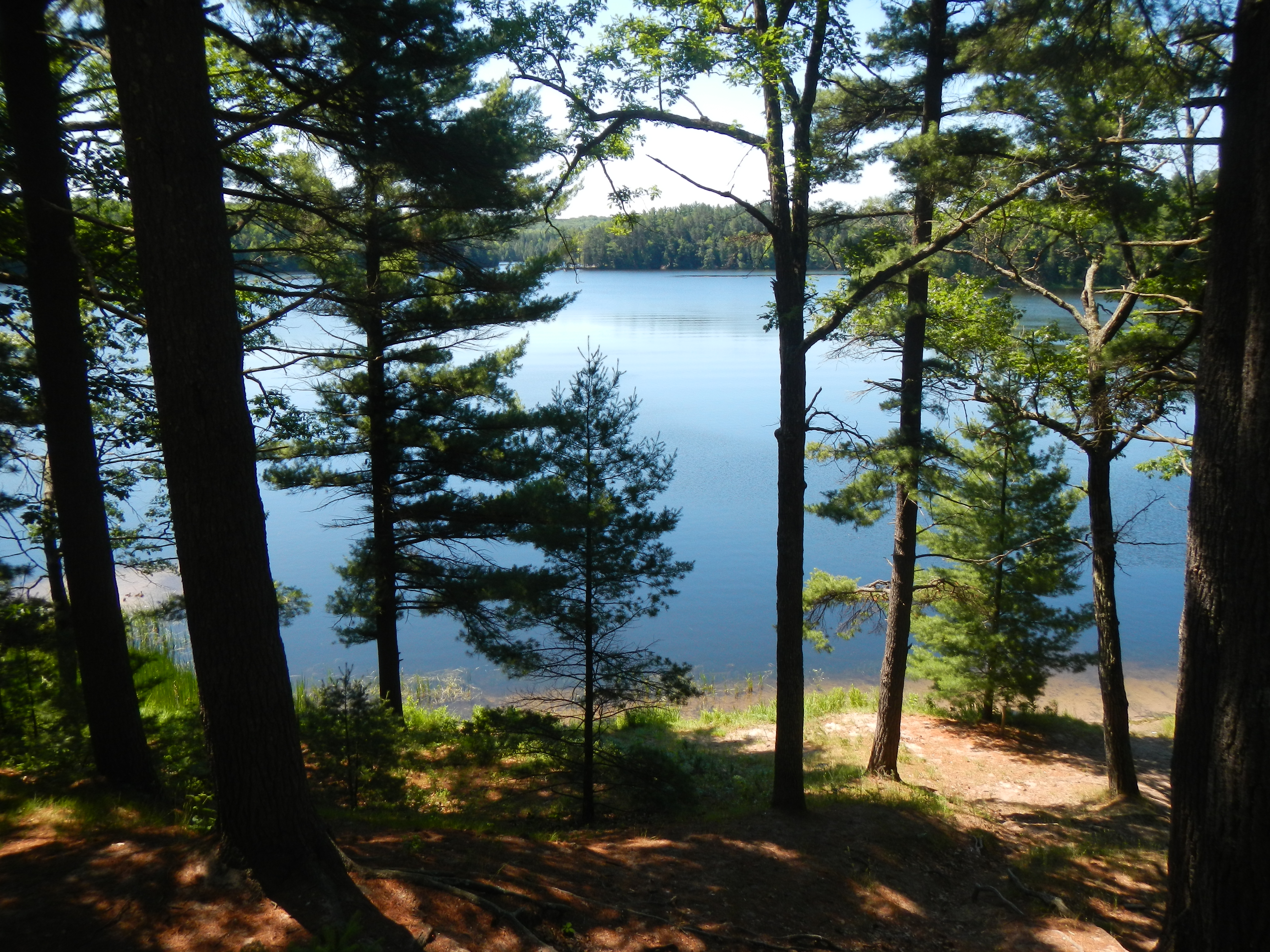 A two-track to primitive campsites on the north shore of Foote Pond led us here