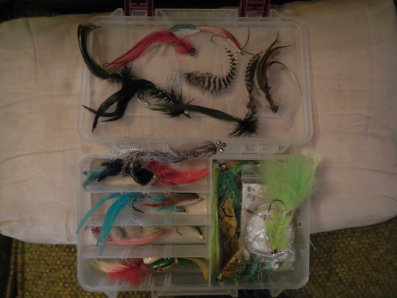 BIG freshwater flies (not tied on nickeled or stainless hooks) for whatever is swimming around in the swamps of the Everglades, etc. - big bass, chain pickerel, gar, peacock bass, ???
