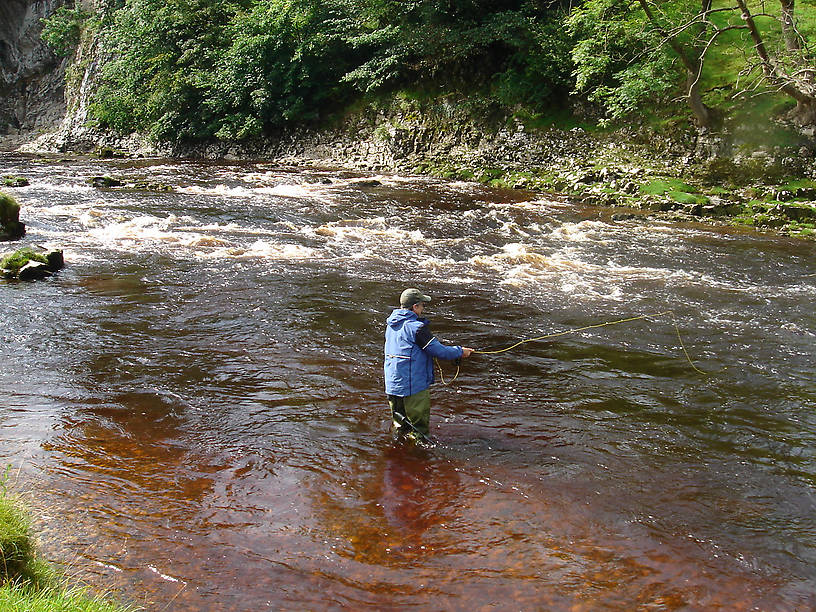 River Wharf below Loup Scar, above Burnsall.  caught a couple of browns, one surely wild.  spent the day Czech Nymphing as the water was a good foot above normal, deep, fast, and peaty.  peaty means a wonderful reddish gold color that made every fish look like a salmon.