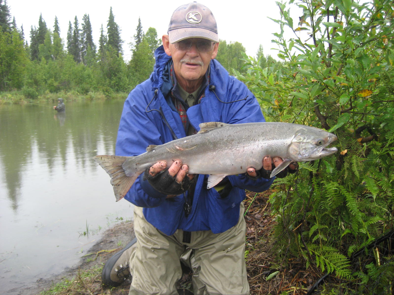 Otter Creek Alaska hen silver salmon