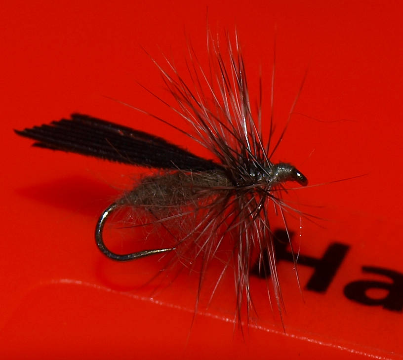 This is an imitation for the Little Black Sedge Hatch, mixed up a couple different patterns.